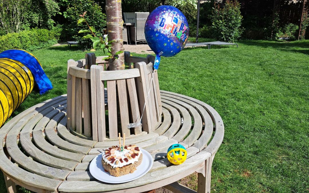 Reykas 2. Geburtstag